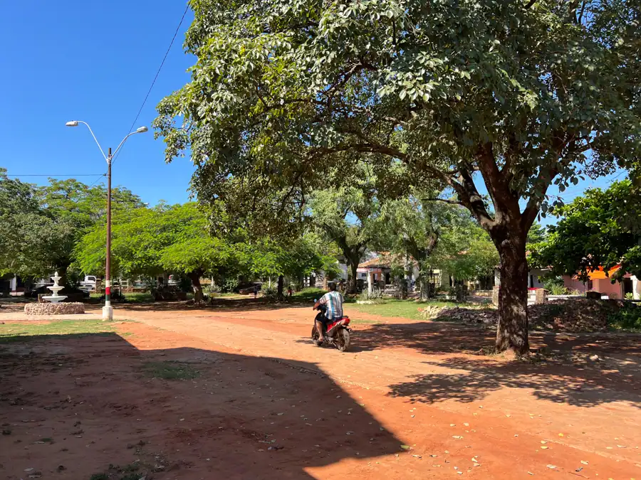 Dirt road with tree and bike